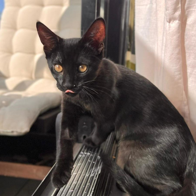 Photo of Bobby