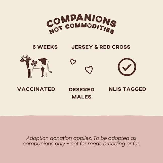 Photo of Chester & Charlie