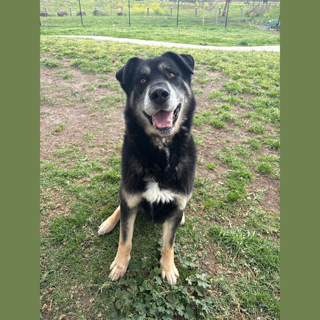 Photo of Zeus 