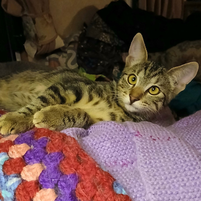Photo of Reggie
