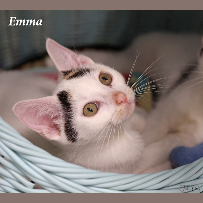Photo of Emma