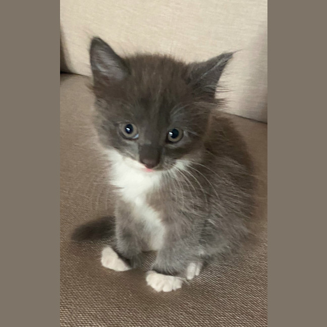 Photo of Erky