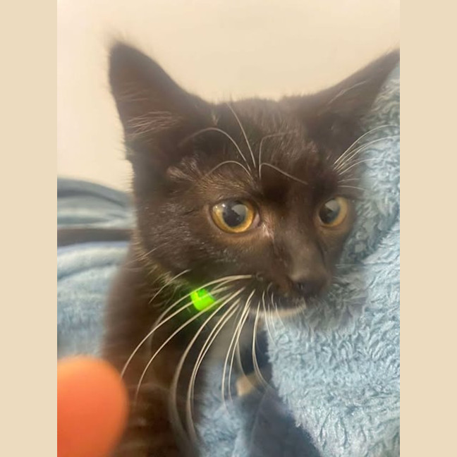 Photo of Kiki