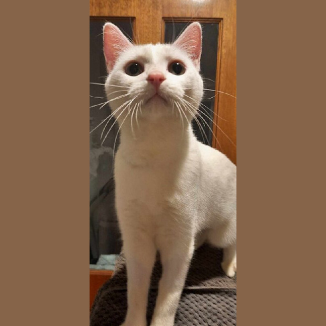 Photo of Phoebe