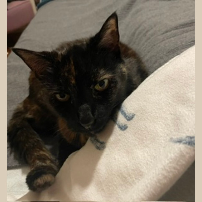 Photo of Charlotte