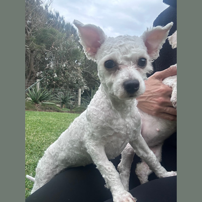 Photo of Molly