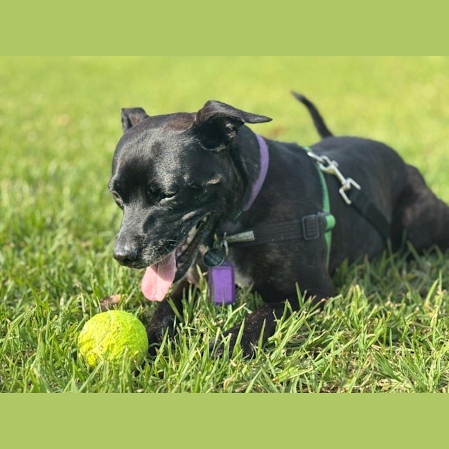 Photo of Beatrice Lozano