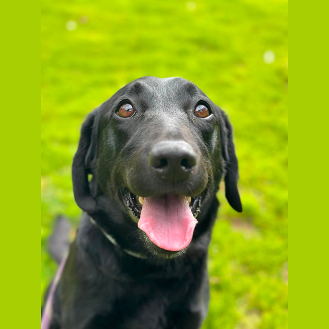 Photo of Lola