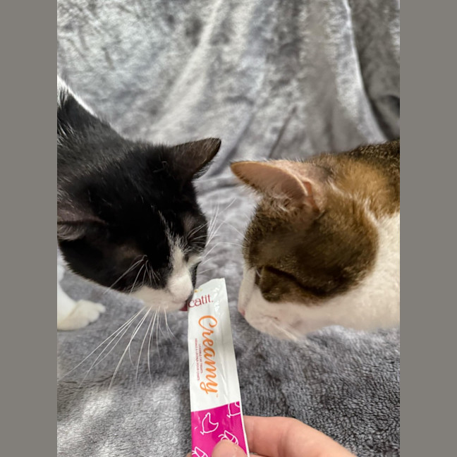 Photo of Hank & Halle