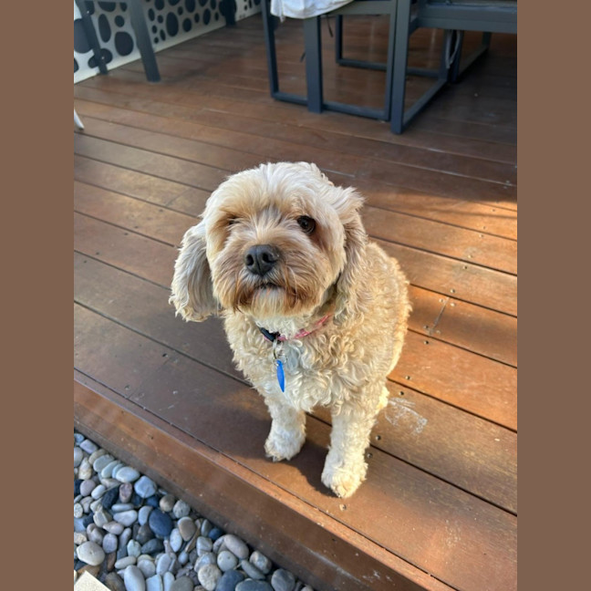 Photo of Polly