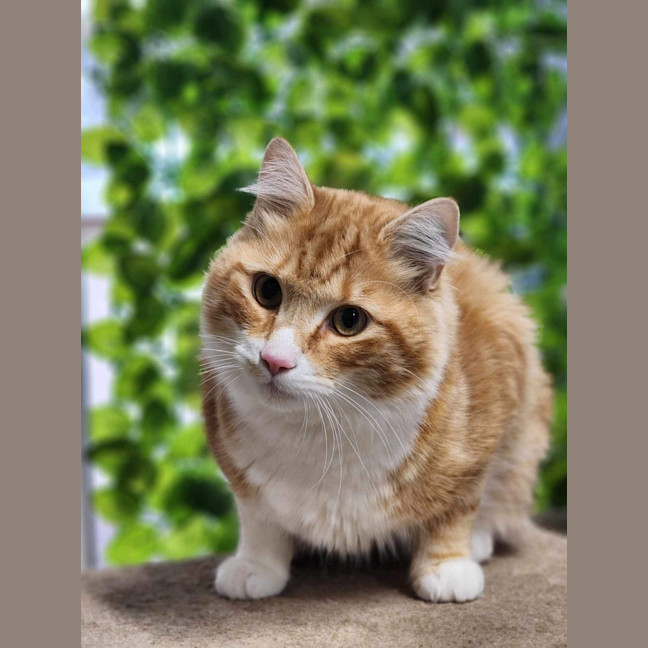 Photo of 🐠 Nemo 5314 🐠