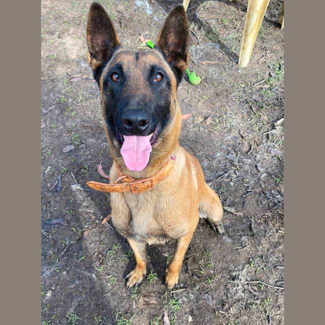 Photo of Betty