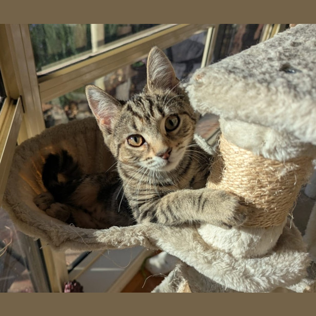 Photo of Ci Ci