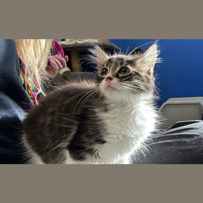 Photo of Molly