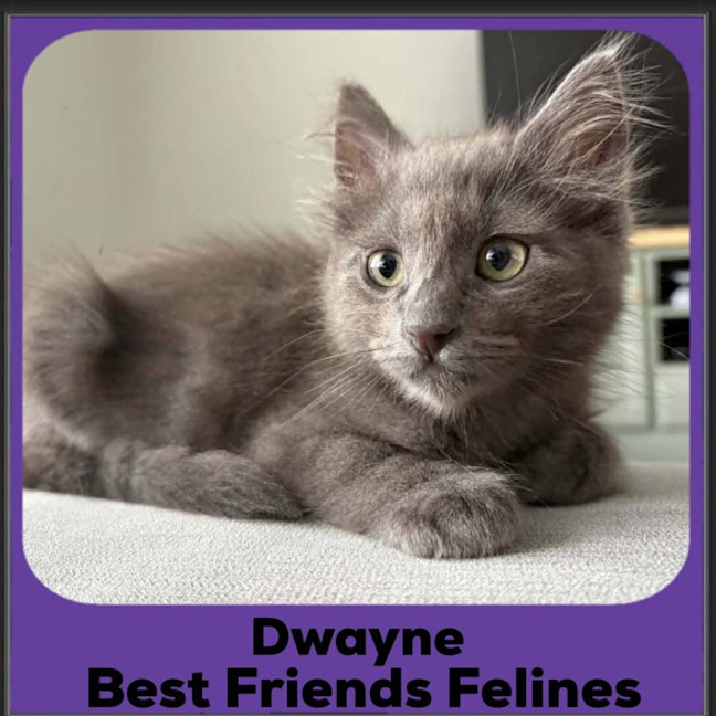 Photo of Dwayne 