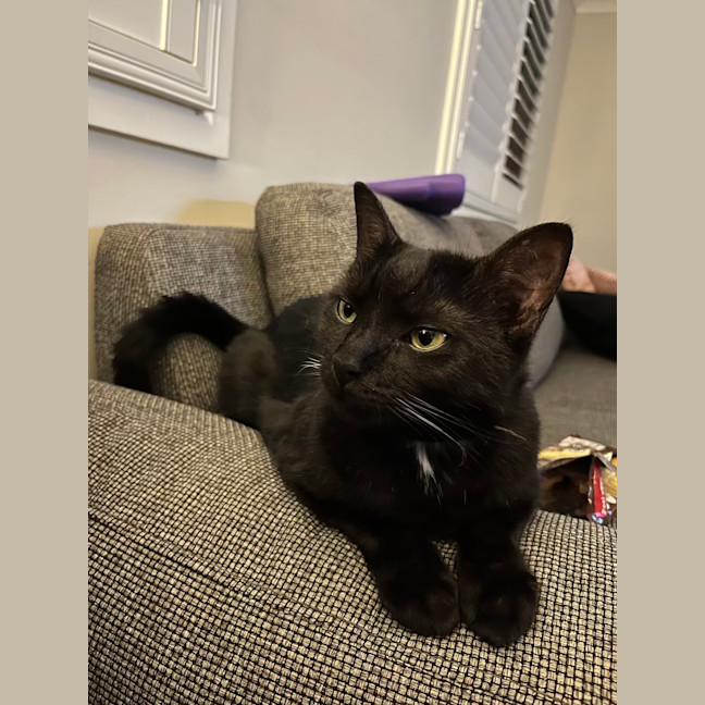 Photo of Monster