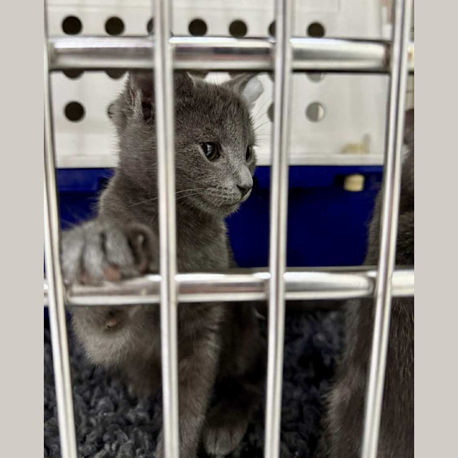 Photo of Dee   Located In Preston