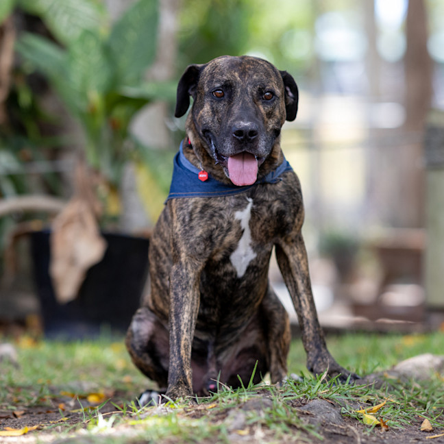 Photo of Jaxx