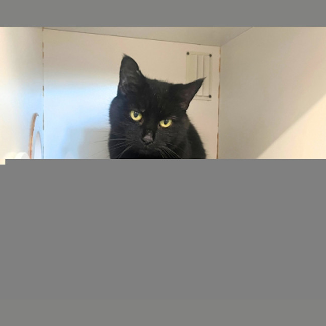 Photo of Jelly Belly