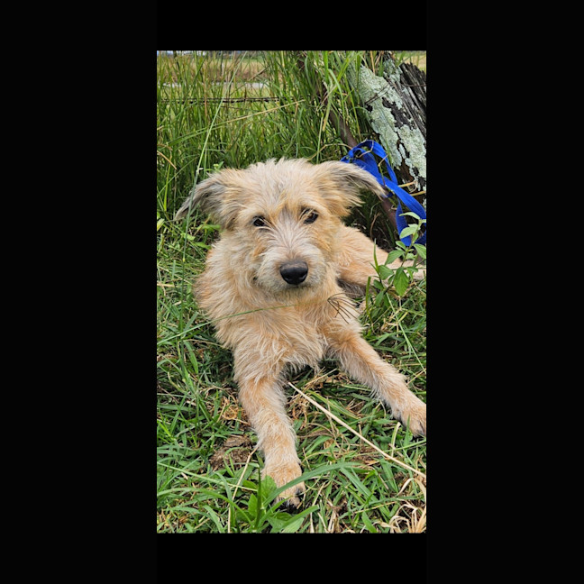 Photo of Betty