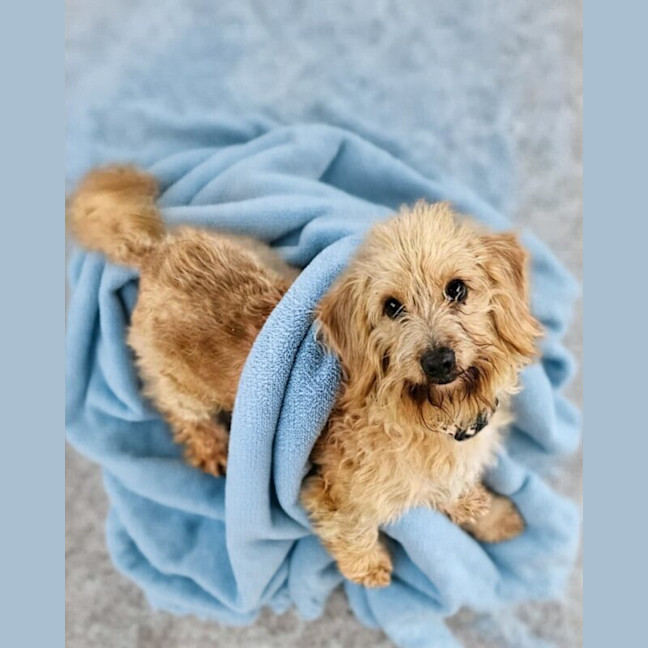 Photo of Coco