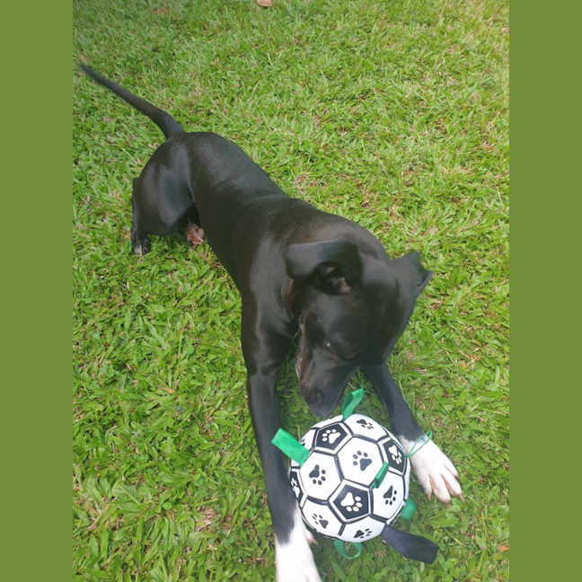 Photo of Ella