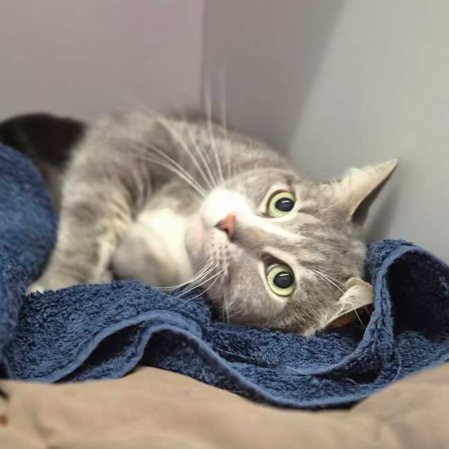 Photo of Jasper