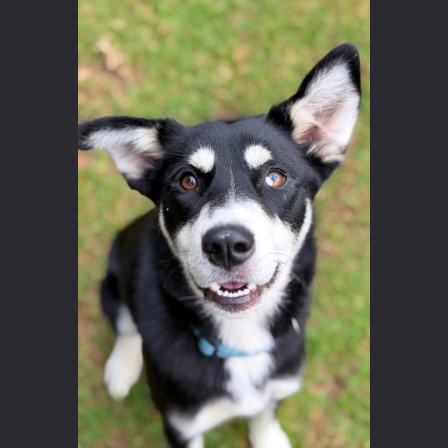 Photo of Yindi 