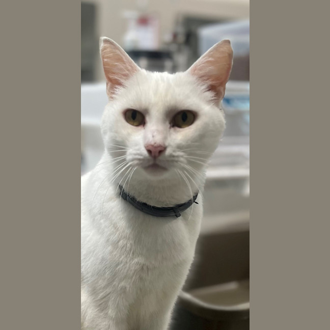 Photo of Moffy (0899)