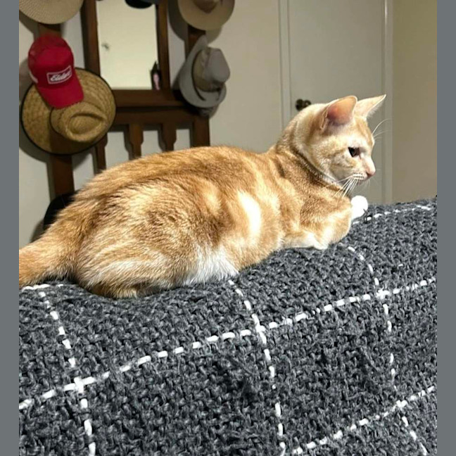 Photo of Bubba