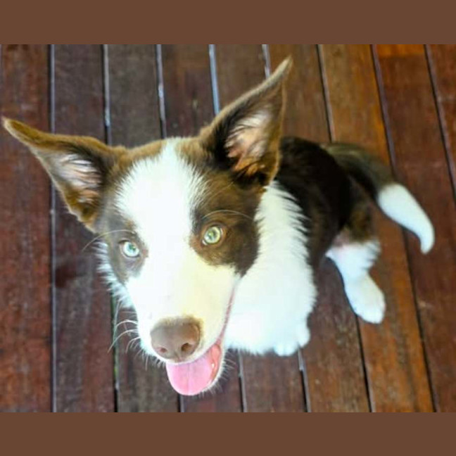Photo of Jinx