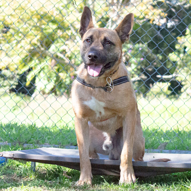 Photo of Scrap