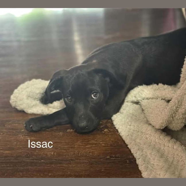 Photo of Issac