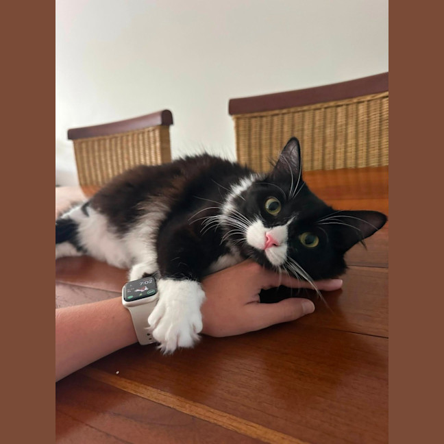 Photo of Willow And Jasper