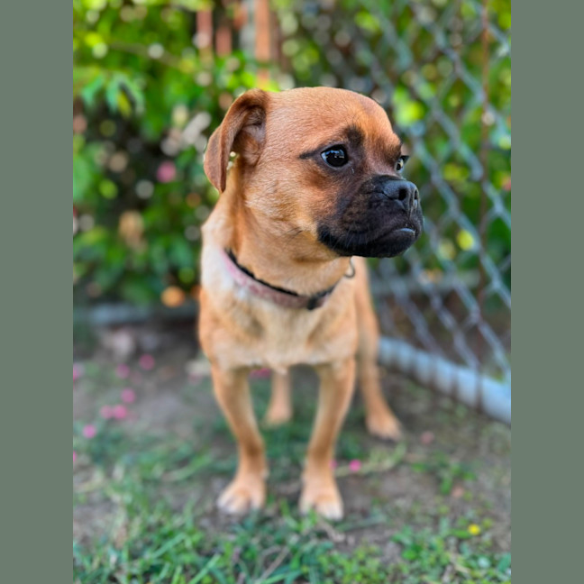 Photo of Jughead   Super Shy Boy