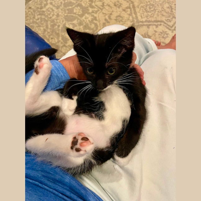 Photo of Lulu