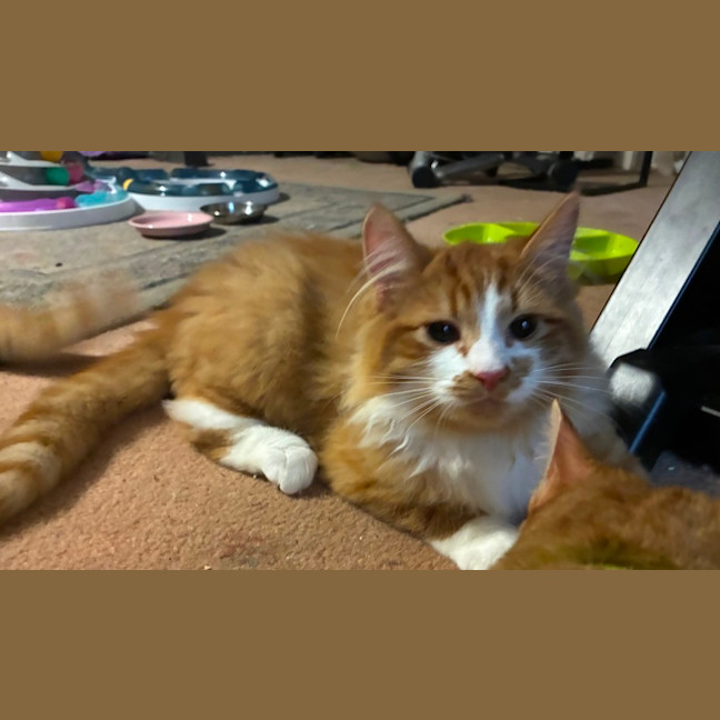 Photo of Benny