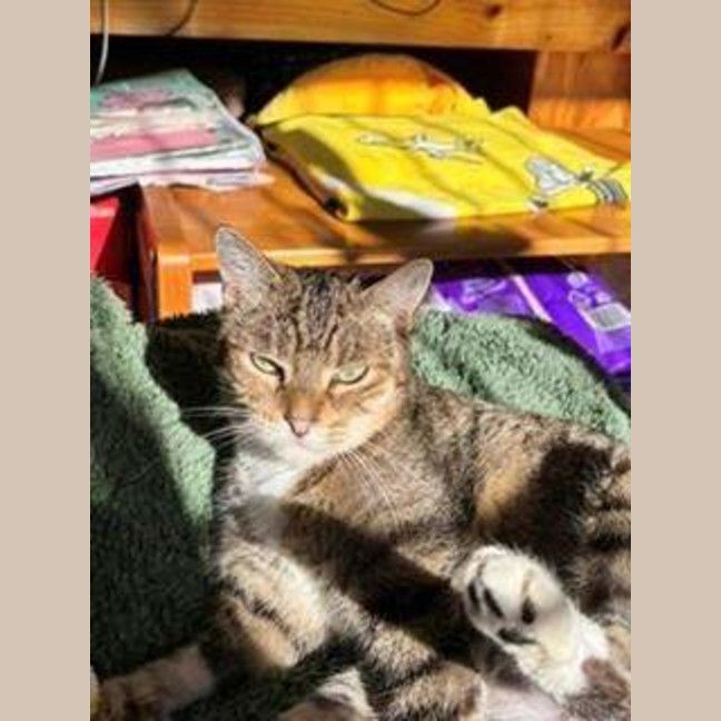 Photo of Lily