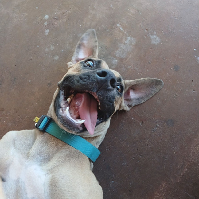 Photo of Benny
