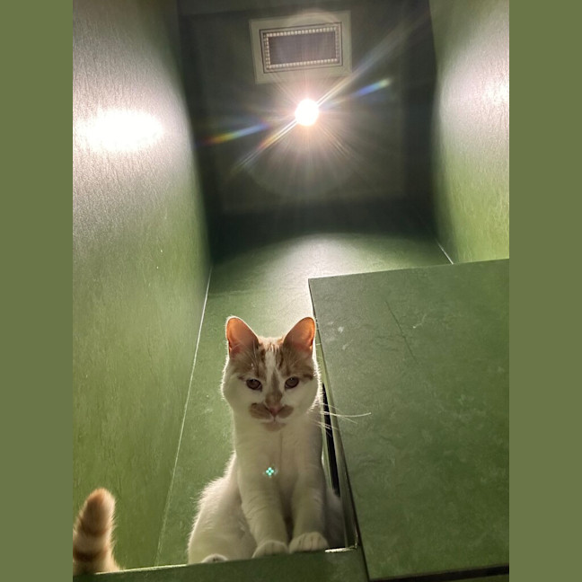 Photo of Freddie