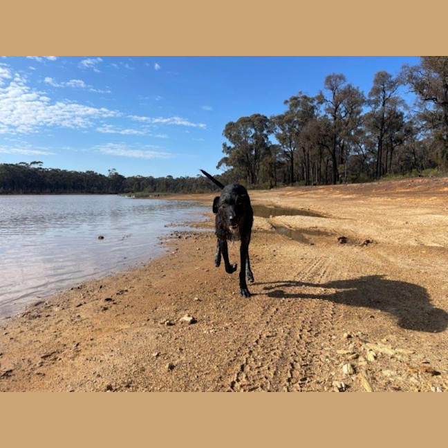 Photo of Roxy Peggotty