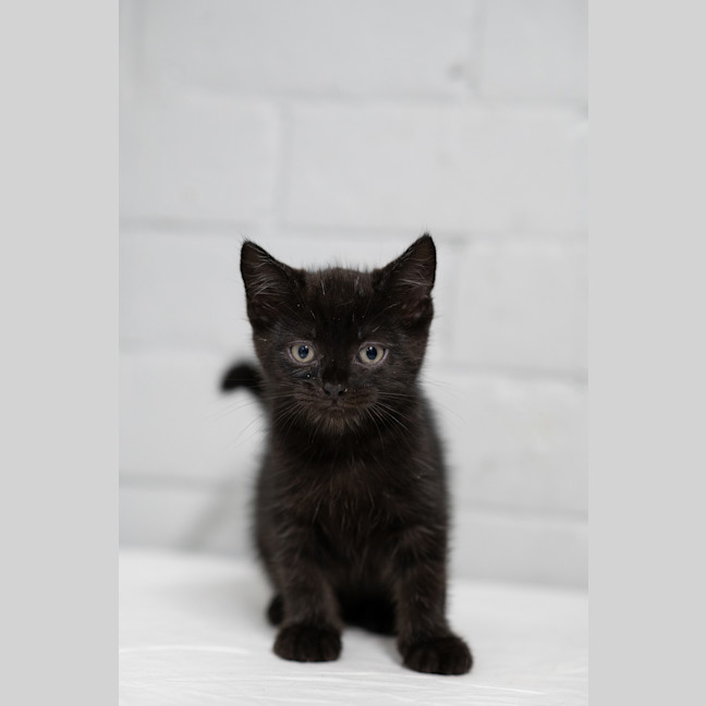 Photo of Jerry