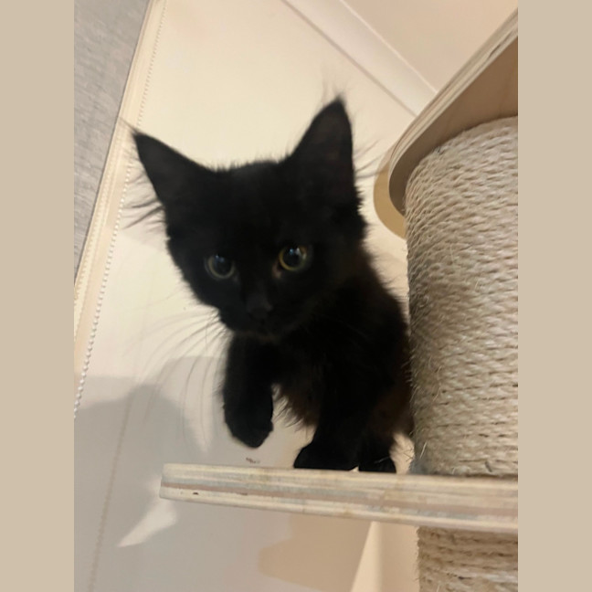 Photo of Turbo 