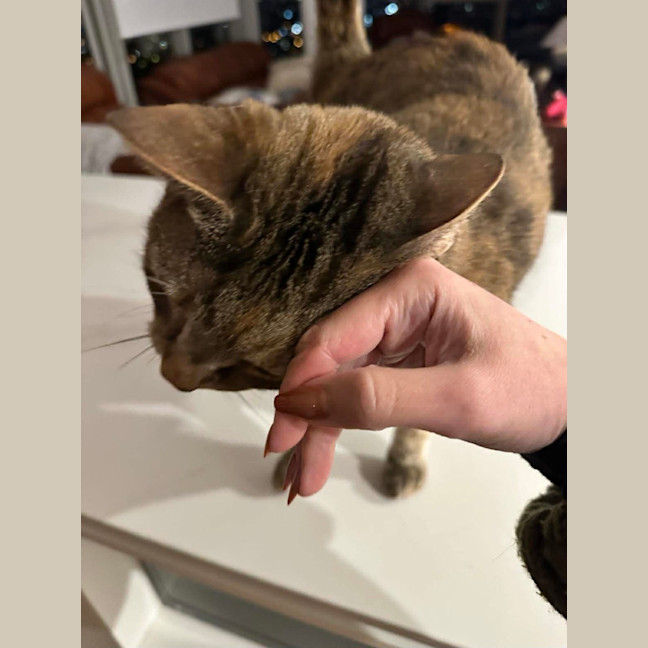 Photo of Lulu (+ Lucy)