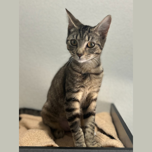 Photo of Valentina