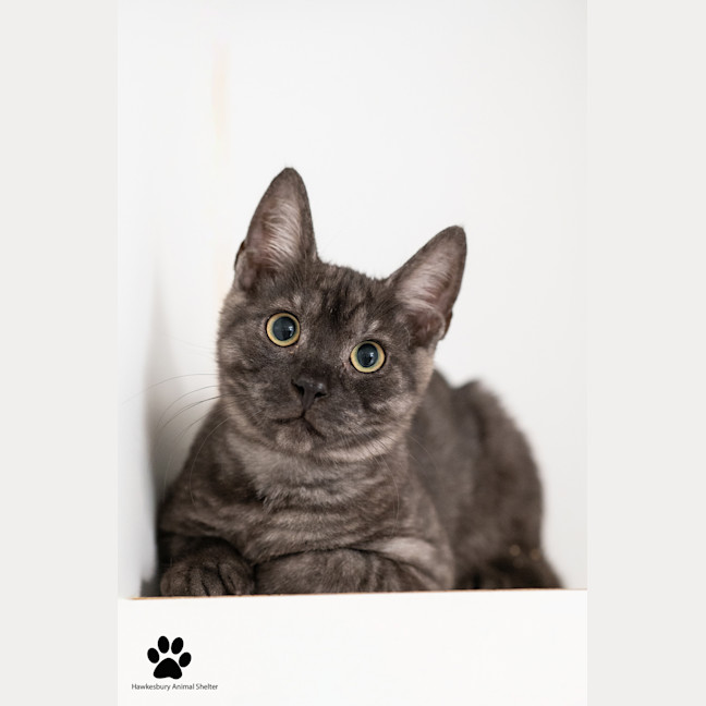 Photo of Bucky