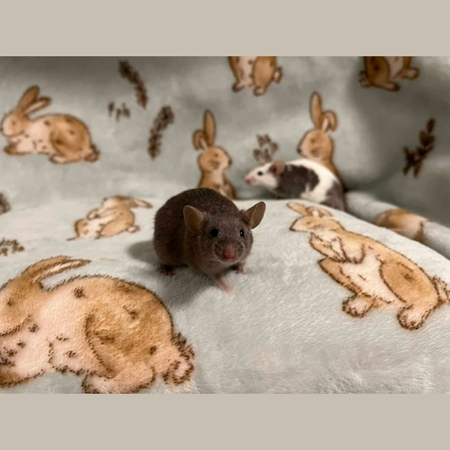 Photo of Hank & Joel