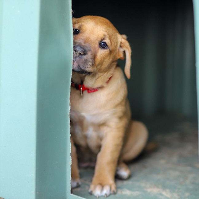 Photo of Addie