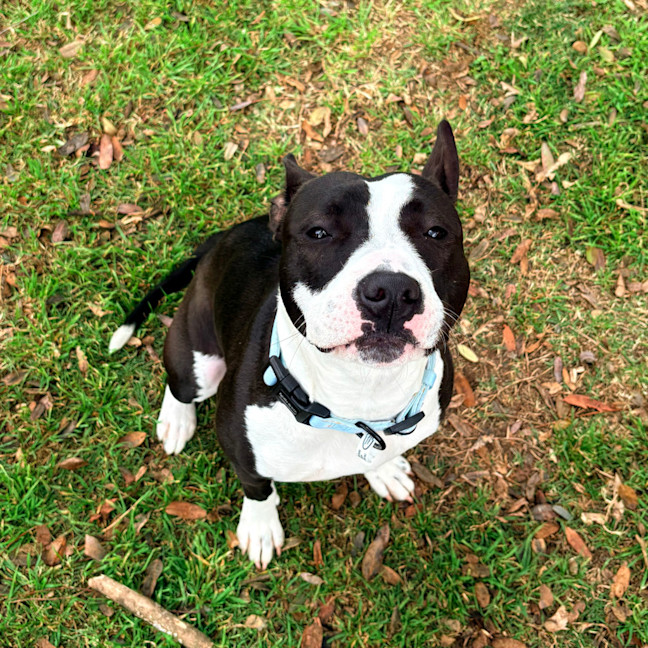 Photo of Lola
