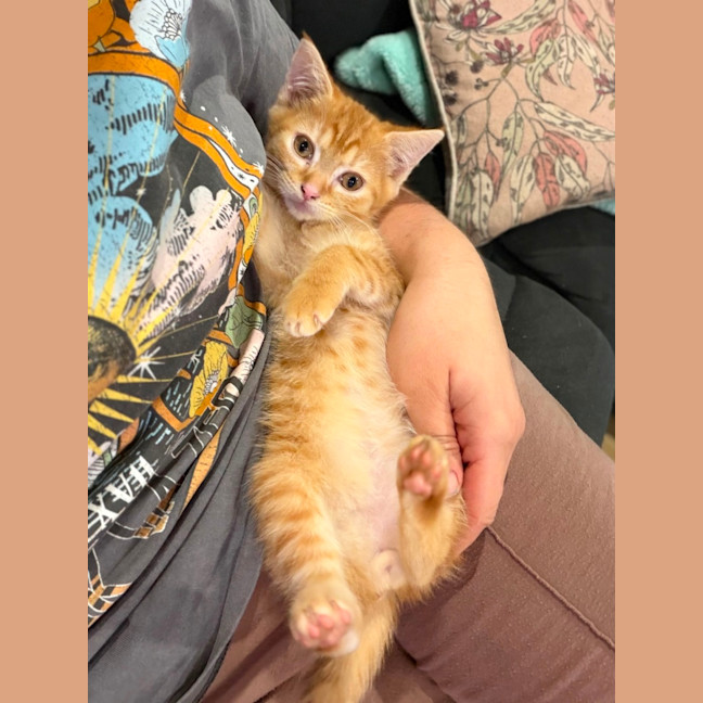 Photo of Jethro